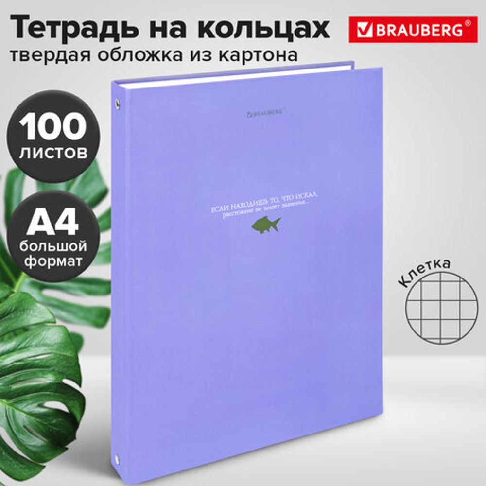 Тетрадь на кольцах БОЛЬШАЯ А4, 215х305 мм, 100 л., твердый картон, клетка, BRAUBERG, "Monocolor", 405409
