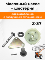 B500-0-186F-RT (2)