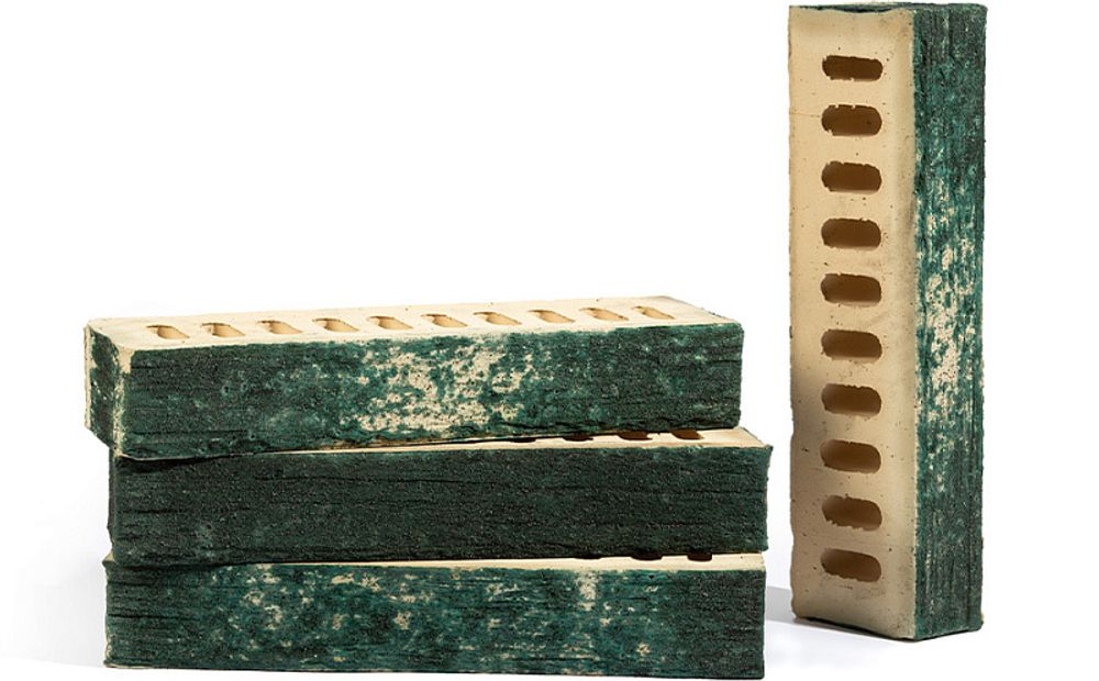 Кирпич облицовочный Plinfa Cassia 1613, 300x85x50