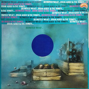 Brian Auger & The Trinity / Definitely What! (LP)
