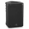 Behringer B1C