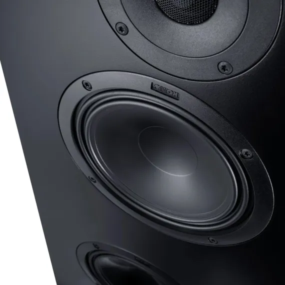 Canton Atelier 11 On Wall Black Matt