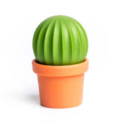 Набор для специй Cactus Qualy