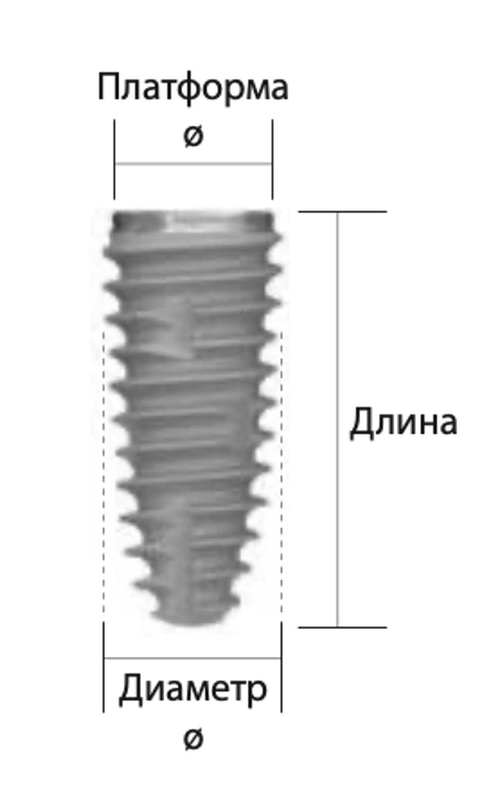Импланты NEOBIOTECH