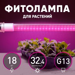 Фитолампа для растений светодиодная ЭРА FITO-18W-RB-Т8-G13-NL и мясных прилавков 18 Вт Т8 G13 красно-синего спектра | Фитолампы T8