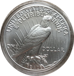 1 доллар Peace 2024 UNC