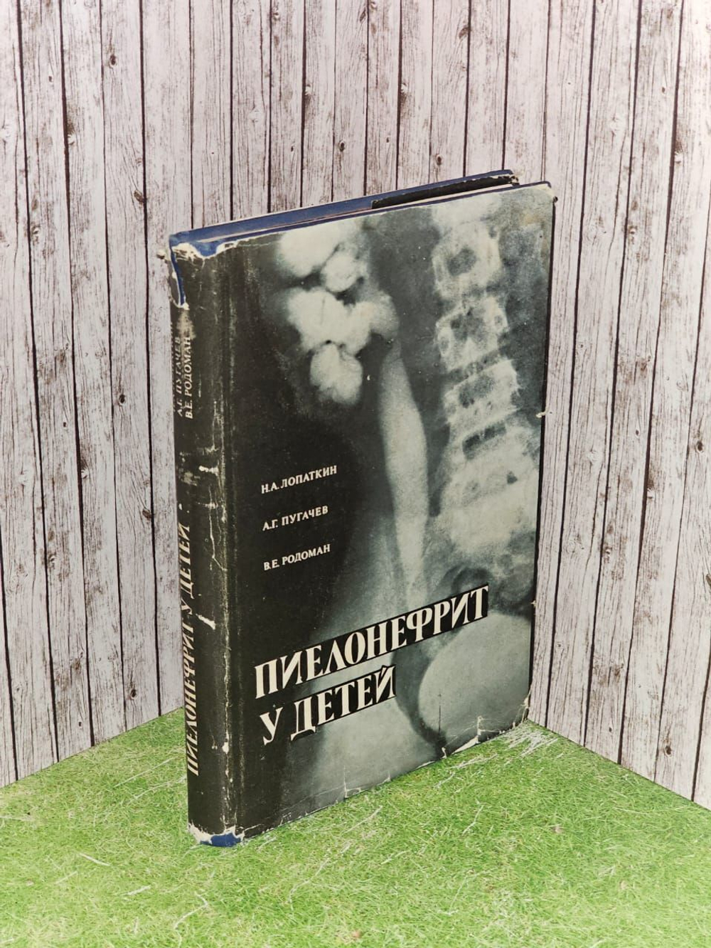 Пиелонефрит у детей. Лопаткин Николай Алексеевич, Пугачев А.