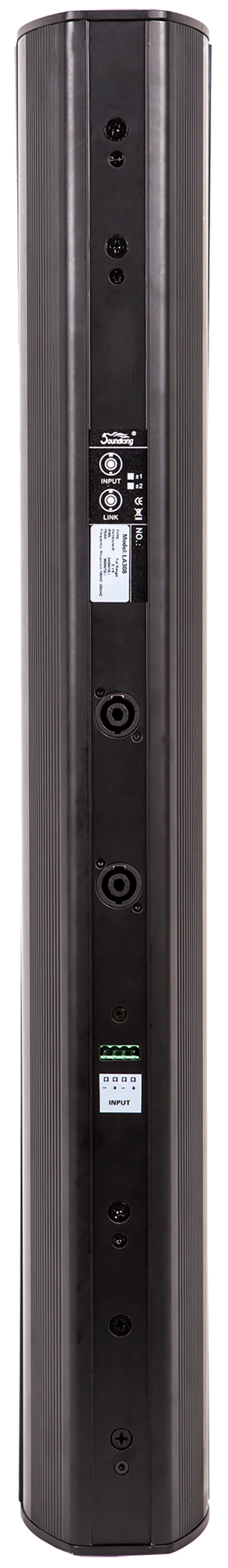 Soundking DLS122