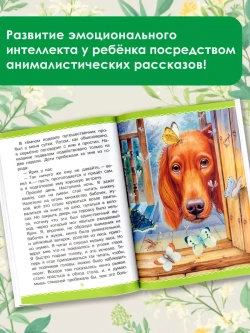 Рассказы