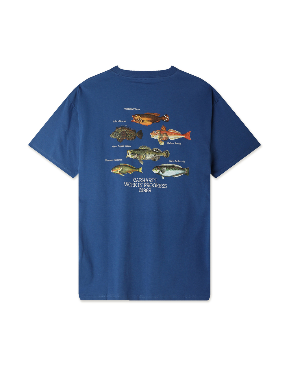 Мужская Футболка Fish