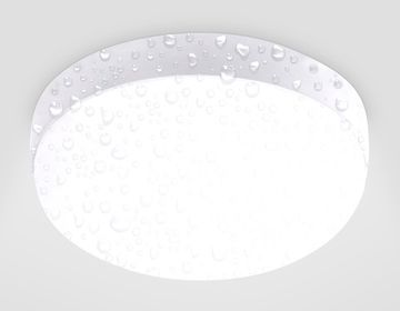 Уличный светодиодный светильник 20W 4200K ST8631 WH белый IP65 LED D170*60 Garden Ambrella