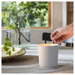Свеча ароматическая IKEA ADLAD (АДЛАД), Скандинавские леса, Белый, 60 часов