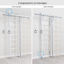 Домашний спортивный комплекс ROMANA Эко 2.1 (белый)