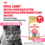 Royal Canin British Shorthair Kitten Киттен Британская короткошерстная Корм сухой сбалансированный для британских котят 400г