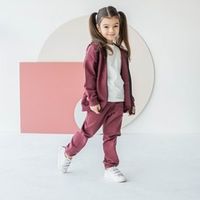 Штаны "Брусника" облегченные