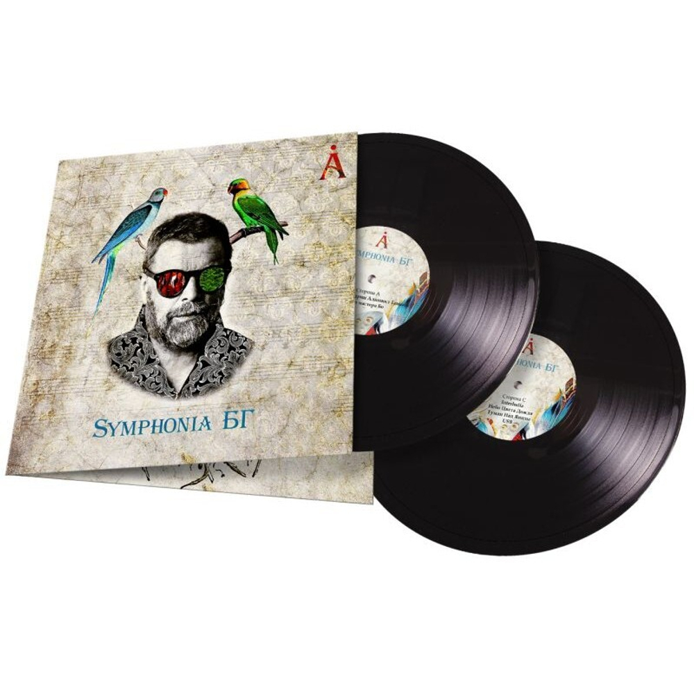 Борис Гребенщиков / Symphonia БГ (2LP)