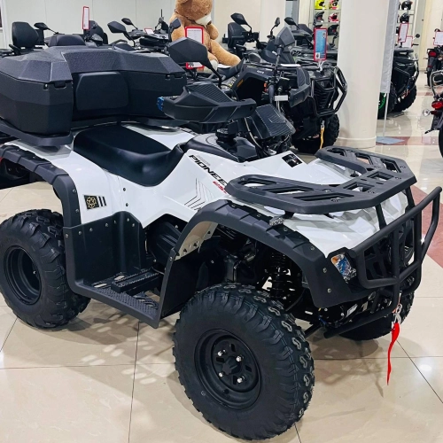 Квадроцикл (комплект для сборки) Explorer 250 4х2 Белый (RR)