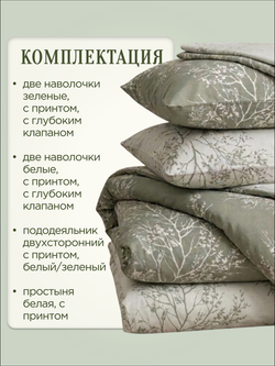 Ветви спокойствия