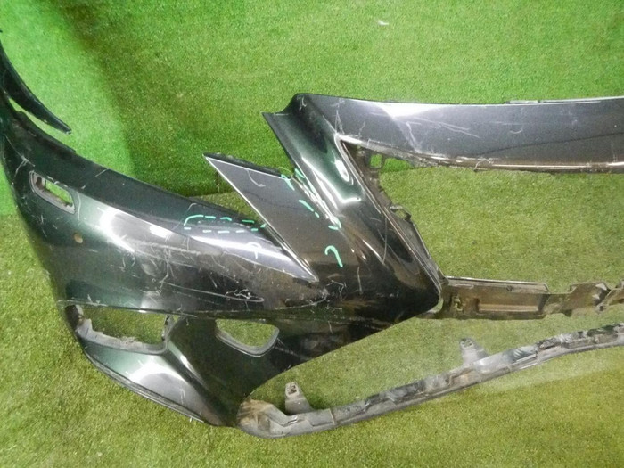 DSCN7146.jpg