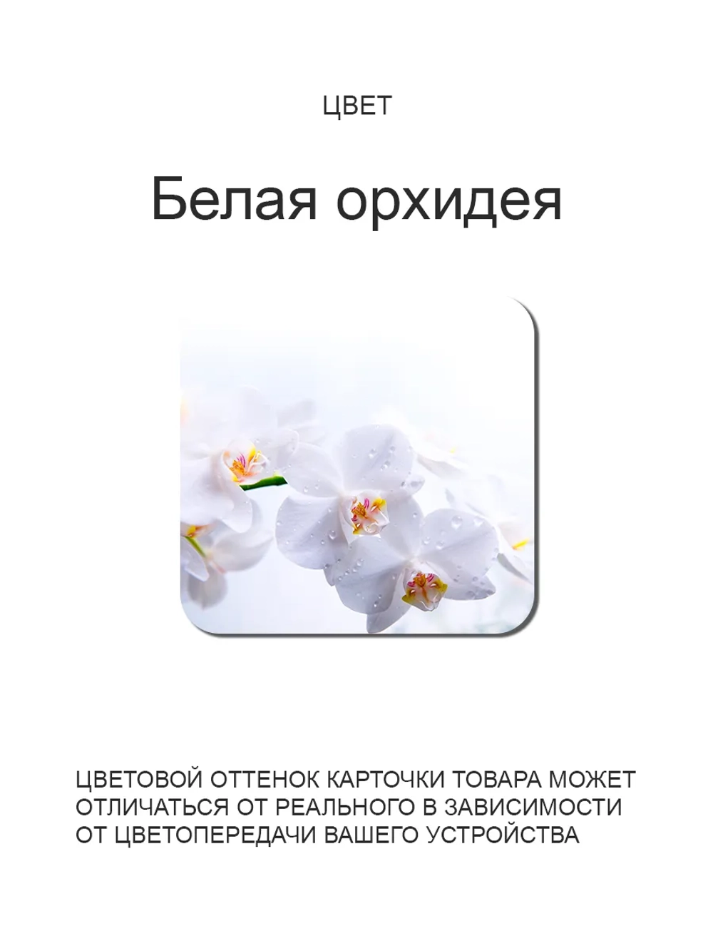 Обеденный стол "Орхидея белая" 100x70 см