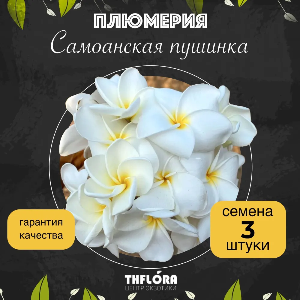 Плюмерия "Самоанская пушинка" — семена, 3 шт.