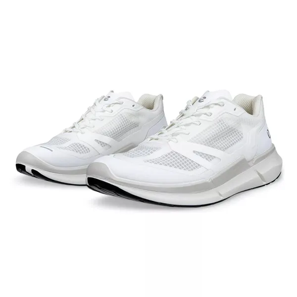 Кроссовки мужские ECCO BIOM 2.2 M