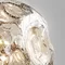 Настенный светильник Dew 90402 LED Bogate's