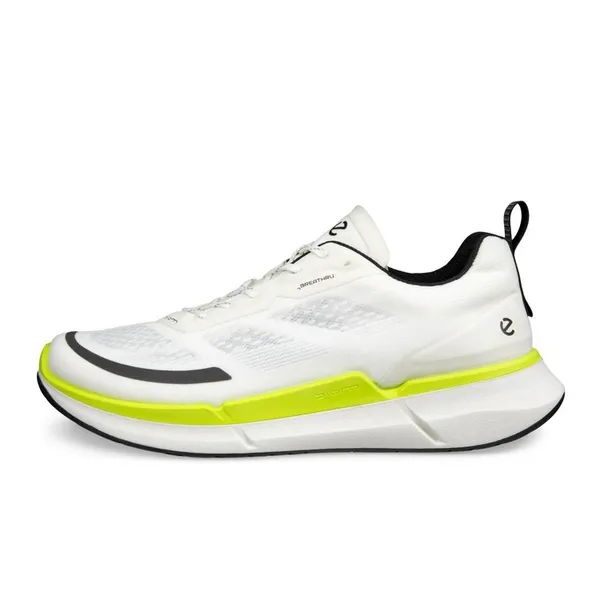 Кроссовки мужские ECCO BIOM 2.2 M