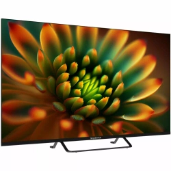 Телевизор 43" Topdevice TDTV43CS05U_BK черный