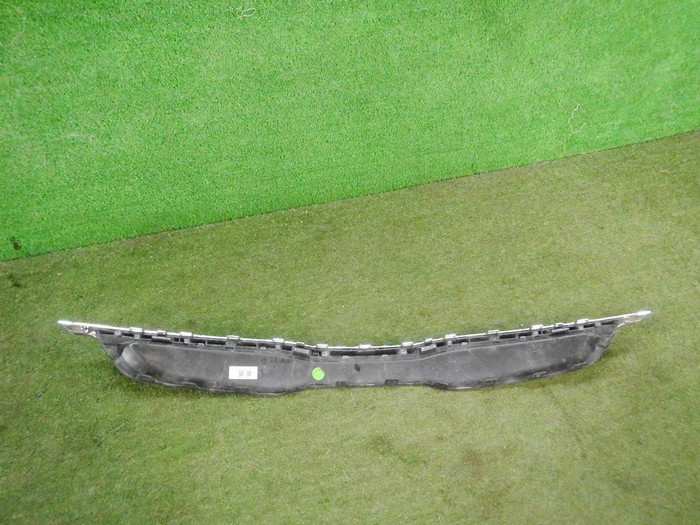 DSCN4247.JPG