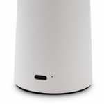 Настольная лампа декоративная Freya Mushroom FR6109TL-L4W