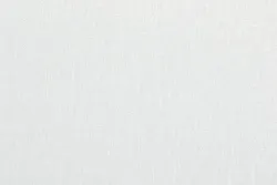 Лег
