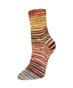 Пряжа Rellana Flotte Socke 4f. Perfect Rainbow (3120)