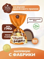 Конфеты мини "ШОКО-ДЕТКИ" со вкусом арахисового пралине 500 г