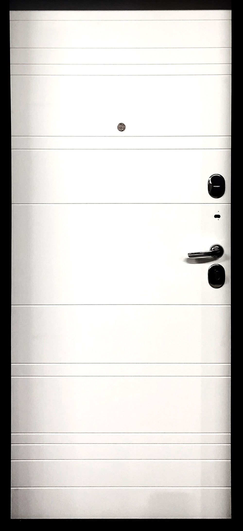 Входная дверь DIVA 55