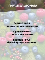 Отдушка Лесные ягоды 1 кг