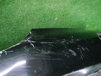DSCN4603.JPG