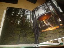 Tree Houses. Fairy-Tale Castles in the Air