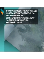 Фотообои на стену Туманный лес 200x270см
