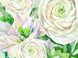 GIARDINO 15