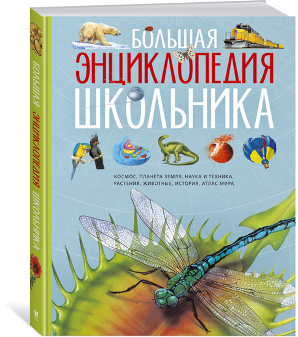 Большая энциклопедия школьника