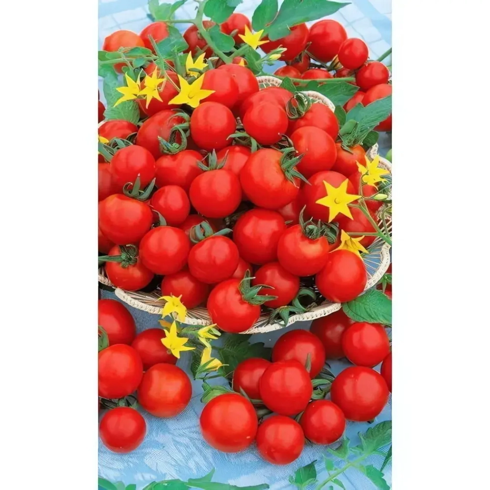 Семена Томат Черри на Засол 0,1гр (УД) Е/П