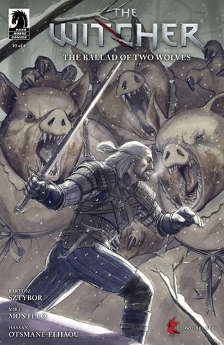 Witcher The Ballad Of Two Wolves #1 (Cover D)
