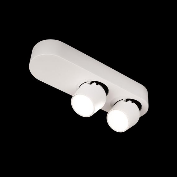Спот Loft IT Quiet 10320/2 White