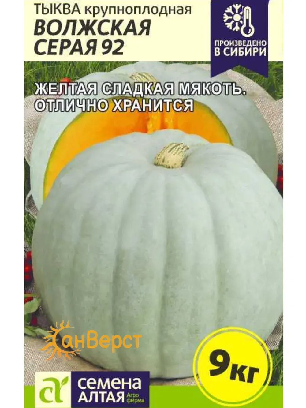 Семена сладкой тыквы на посадку Волжская Серая