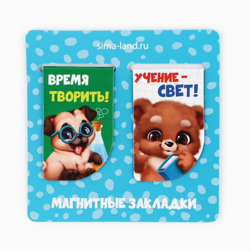 Подарочный набор на выпускной в папке 7 предметов «Выпускник детского сада»!