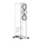 Perlisten Audio R5t Piano Black