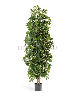 Treez Collection искусственные деревья в Ростове