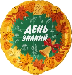Шар День знаний 45 см