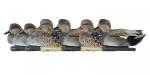 Чучела серой утки Avian-X TOPFLIGHT Gadwall (6 шт.)